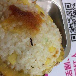 食物里吃到钢丝球可以索赔吗_猪可以吃腐烂的食物吗_吃那些食物可以清肺
