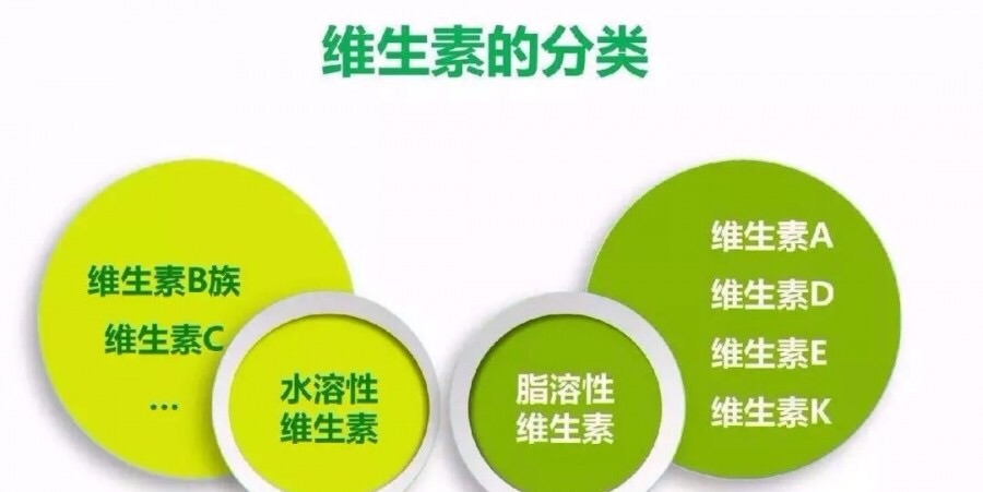 维生素b族什么牌子好_维生素b哪种牌子好_天然维生素b哪个牌子好
