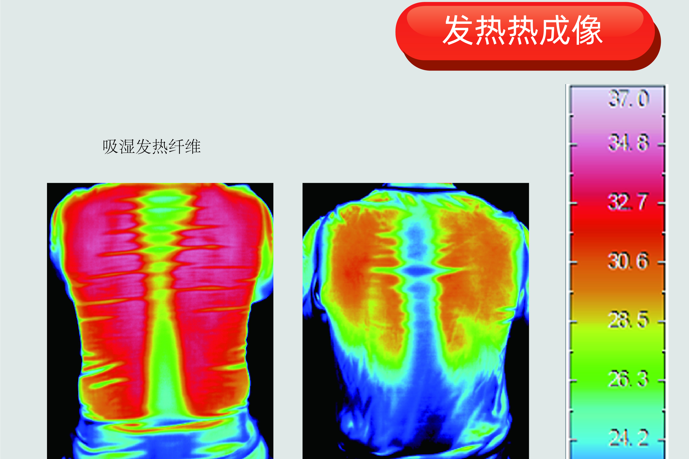 服用面料有几种性能要求_蕾丝面料的品种分多少种好了_葡乐安 服用要求