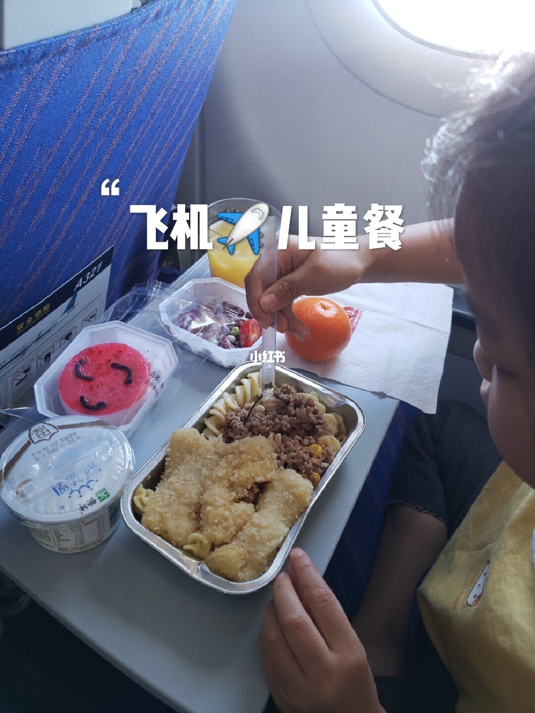 葡萄干可以带上飞机吗_葡萄可以带上飞机吗_飞机带白酒可以托运吗