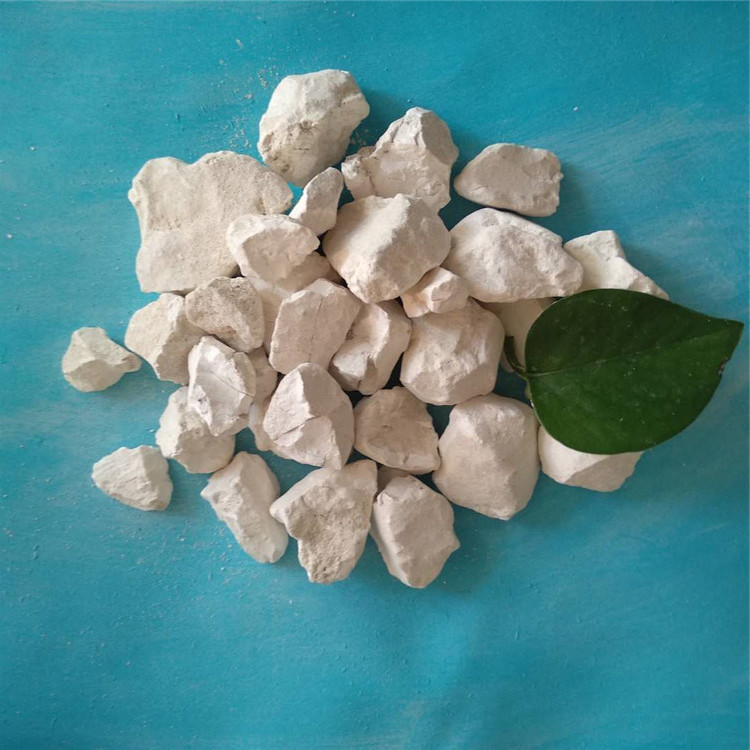 有身份证号能住宾馆吗_房间有霉味能住吗_喷漆的房间多久能住