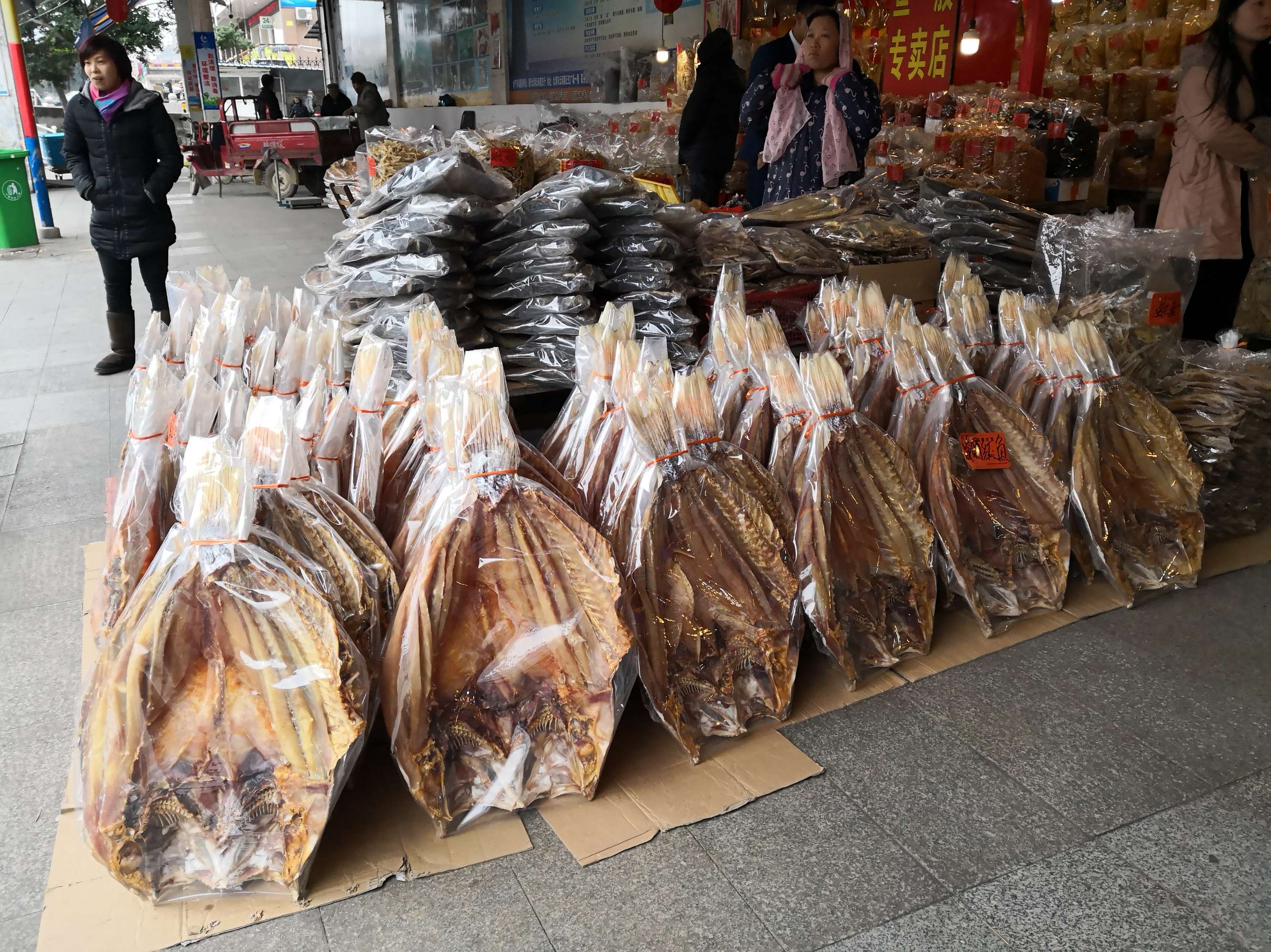 白背木耳产地_白木耳哪里有批发是多少钱一斤?_安微宿州砀木耳批发产地