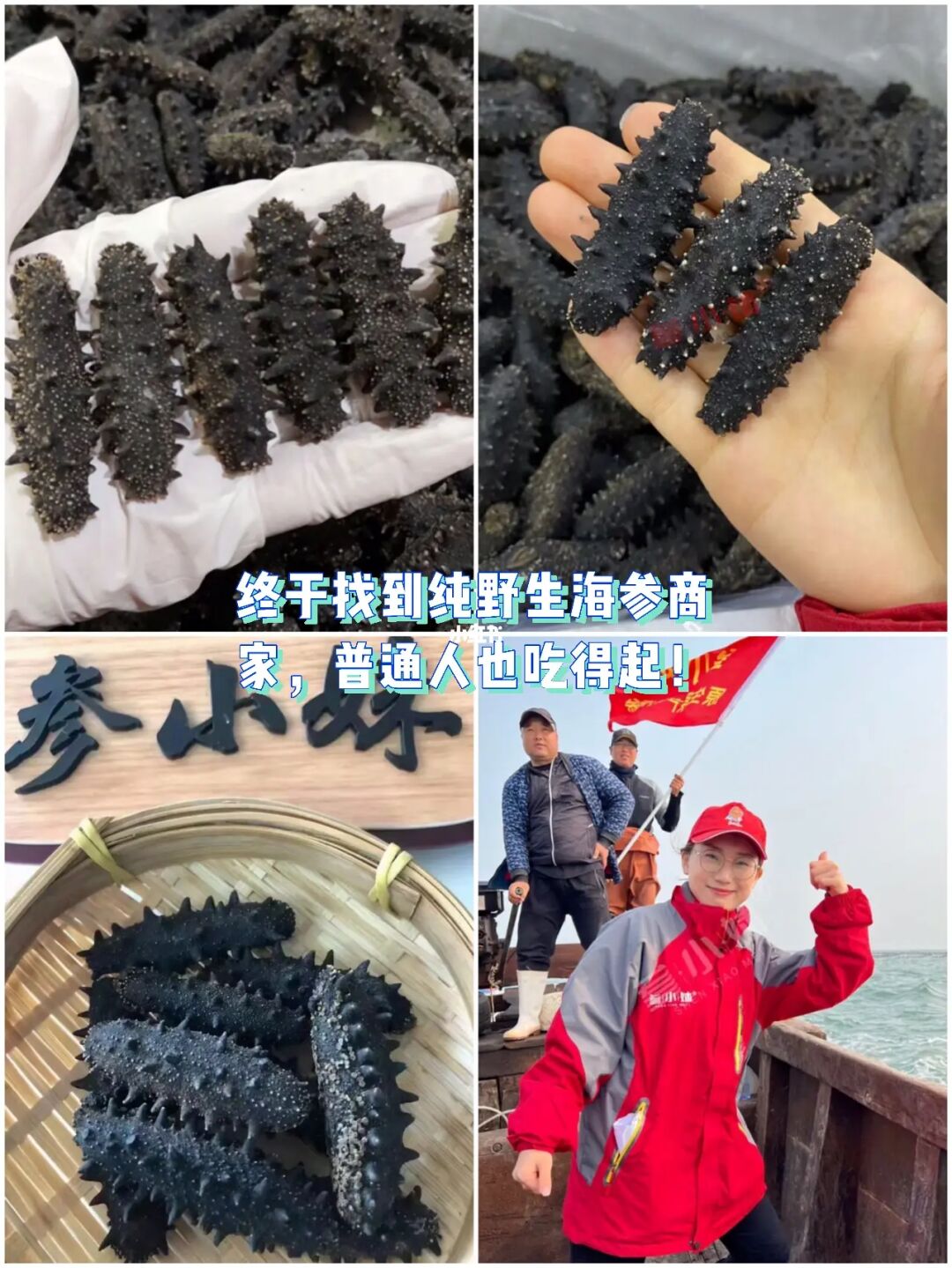 金朋来海参好还是宫品海参好_南京什么地方有海参卖_好品质海参哪有得卖