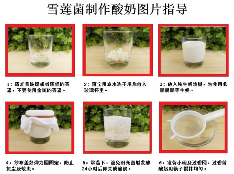 没酸奶机怎么做老酸奶_老酸奶和希腊酸奶_做酸奶冰激凌机