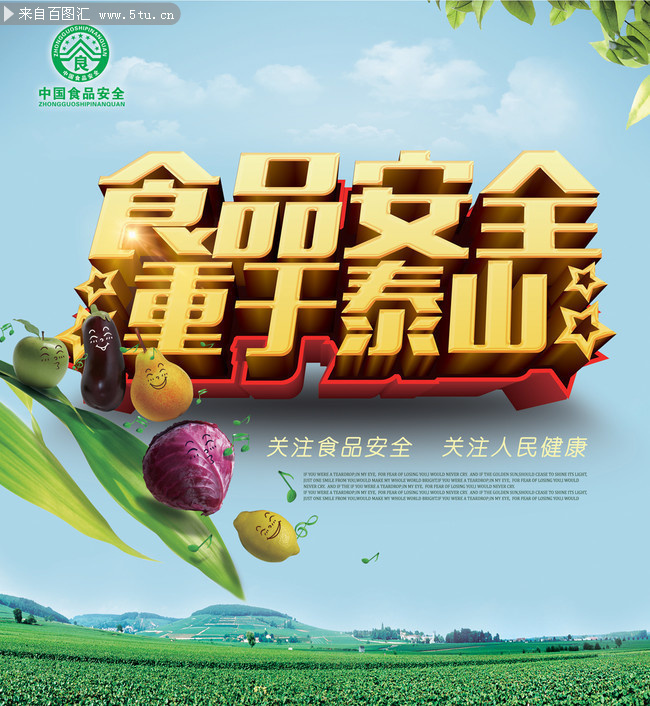 食品安全问题调查报告3000字_食品与安全论文3000字_舌尖上的食品安全3000字