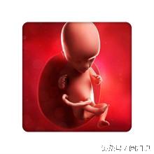 孕妇能参加孕妇婚礼吗_孕妇能用漫步机吗_孕妇用偶尔用一次电磁炉有影响吗