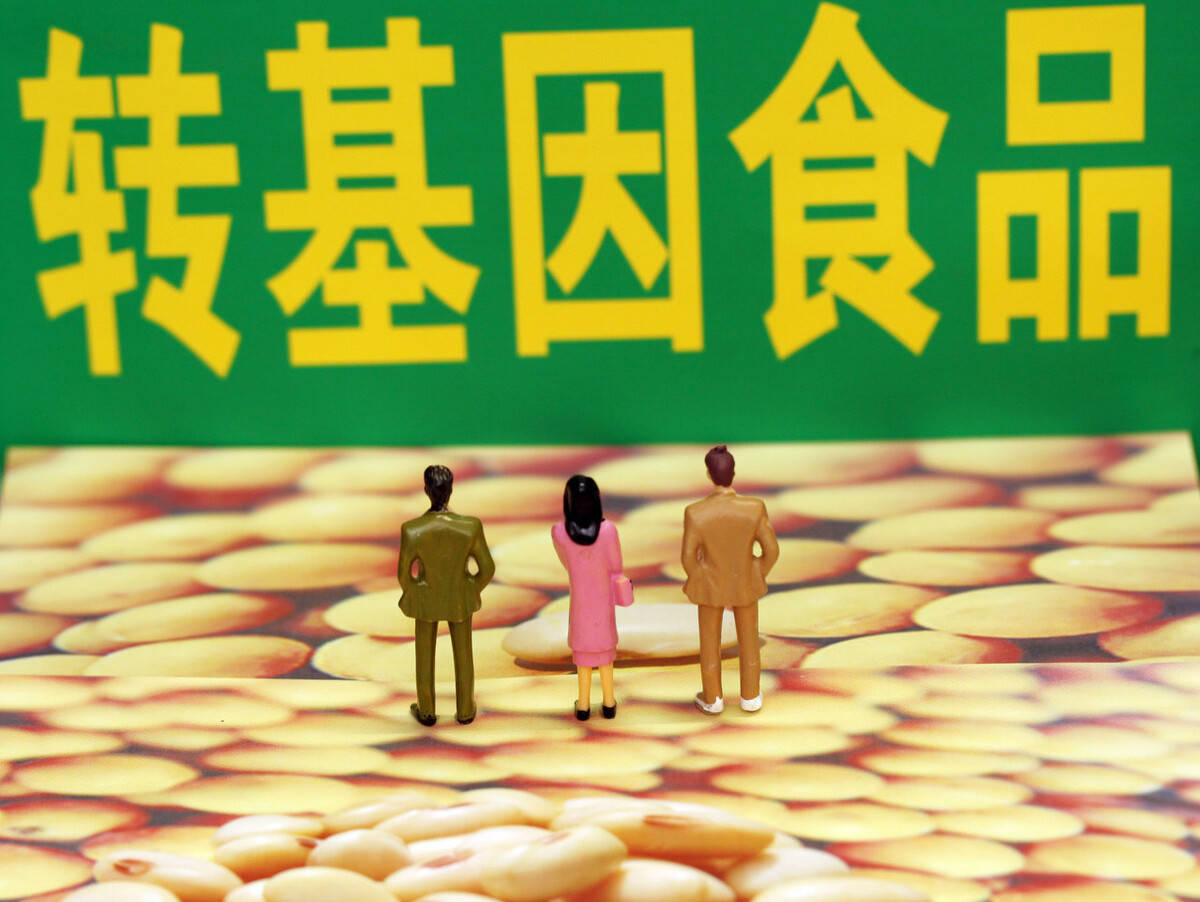 蚊子杀手软件有用吗_蚊子的幼虫有用吗_有蚊子在食品上图片