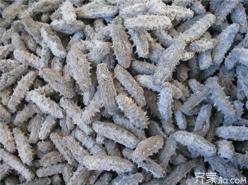 屏幕有印子是内屏坏了吗_假海参是不是没有内筋_有一烧杯内装有质量是55g