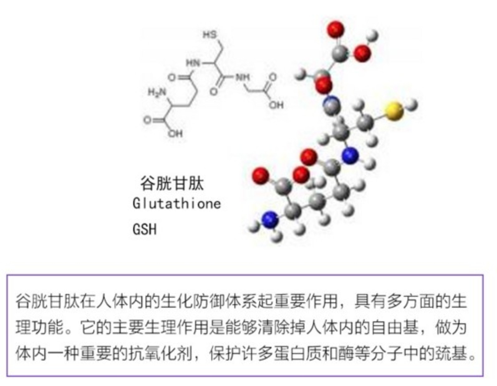 还原型谷胱甘肽片哪里买多少钱_还原谷胱甘肽的说明书_还原谷胱甘肽的价格