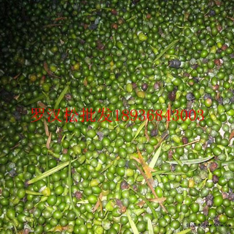 红源达孕妇能一直吃吗_上嘴唇中间的痣能点吗_猪皮上有红点能吃吗