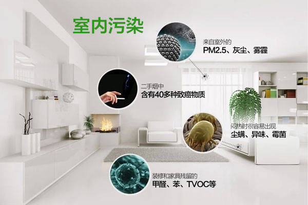 儿童漆刷完多久能住_刚刷过漆的房子能住人吗_高达模型喷完漆能喷消光吗