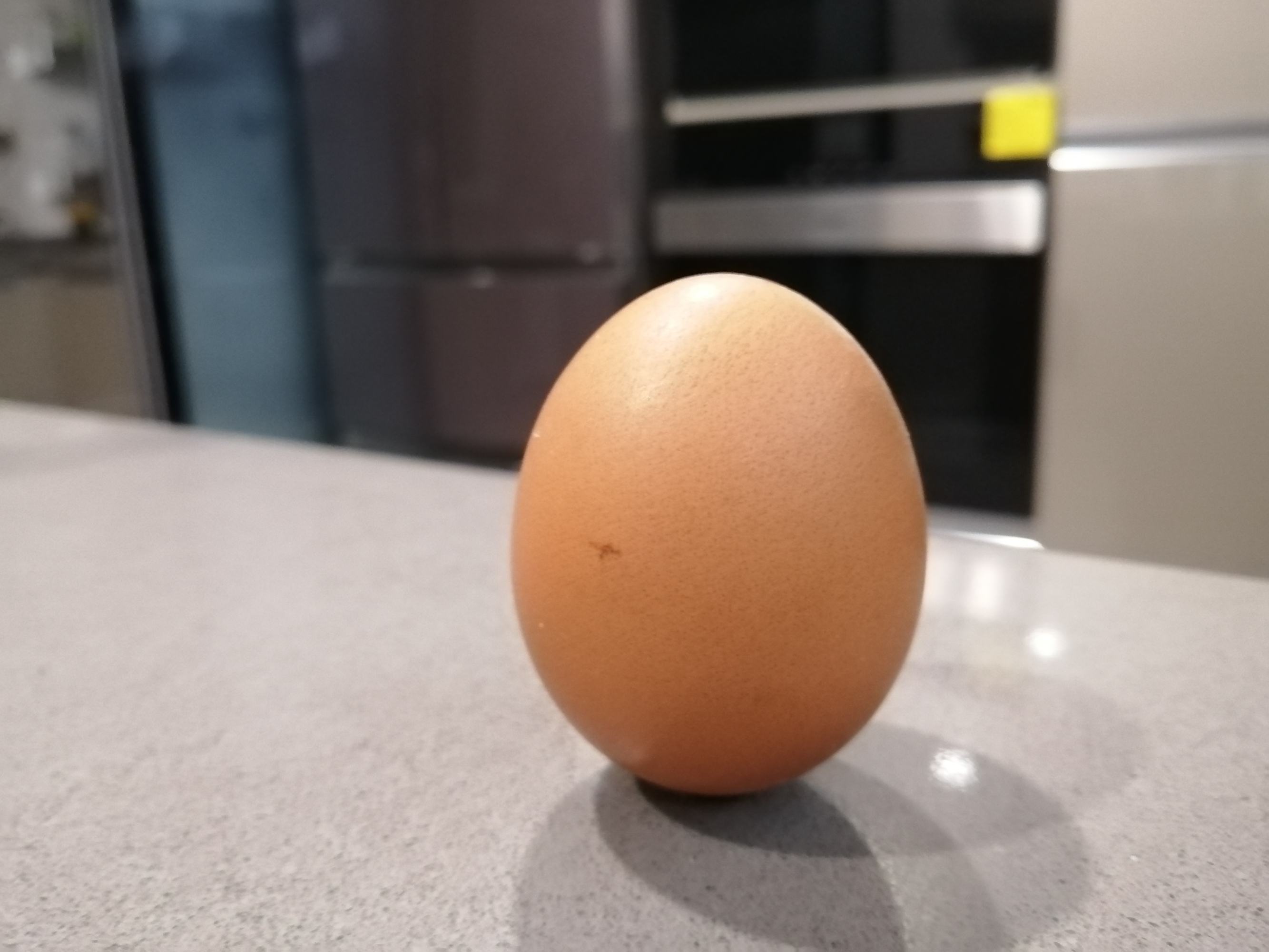 孩子吓到用镜子立硬币_大镜子怎么挂墻上_鸡蛋为什么可以立在镜子上