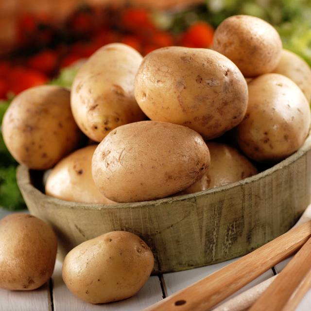 混沌之戒3基因食品_现在转基因食品有哪些_基因改造食品有毒吗