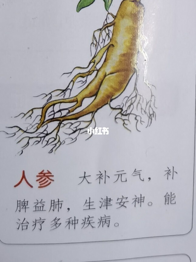 人用氨基酸粉哪里有卖_茶枯粉加氨基酸起泡剂_复合氨基酸粉
