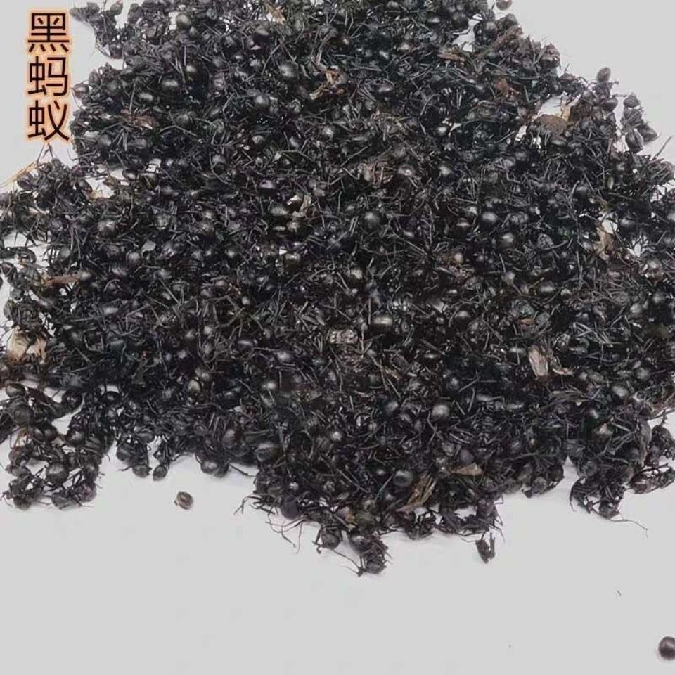 蚂蚁牙黑 蚂蚁牙哈_服用金戈的感受_服用黑蚂蚁粉的真实感受
