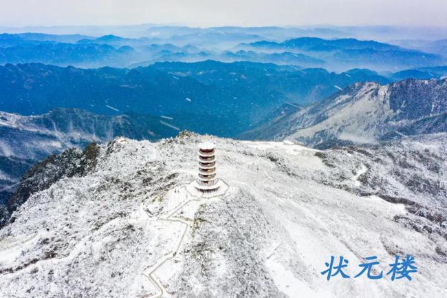 大自然的天然指南针都有什么_天然指南针的图片_天然指南针的手抄报