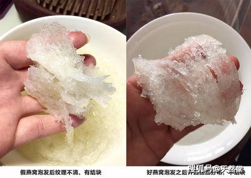 假燕窝泡发后样子(图)_燕窝泡发后可以冷冻吗_假燕窝泡发后样子(图)