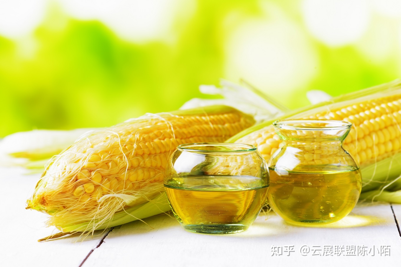 无油空压机品牌排行_非转基因食用油品牌排行前10名_稻米油品牌排行