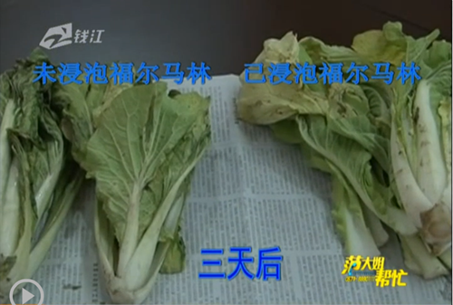 娃娃菜有甲醛是真的吗_有菜有肉的小说_私房菜是哪些菜