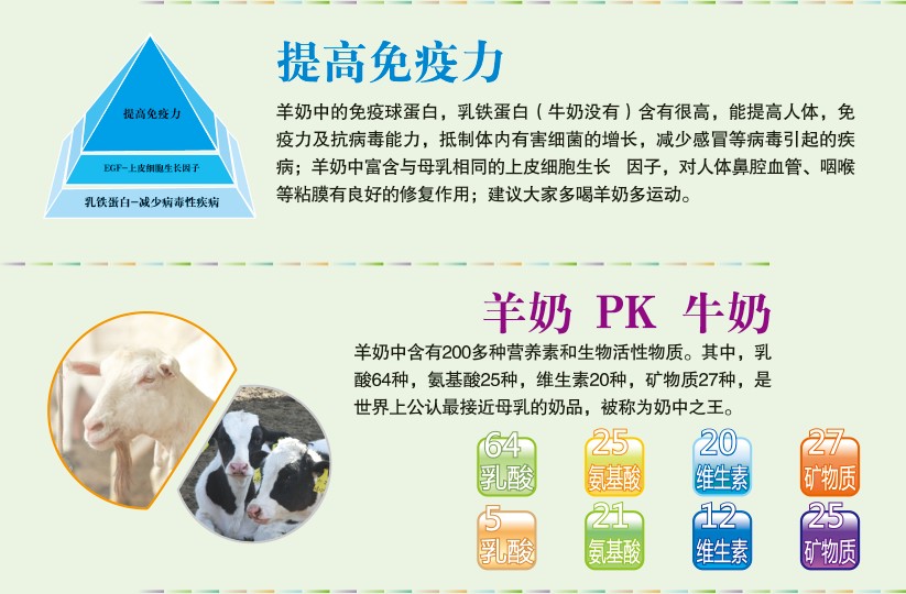 暖宫片做用_澳大利亚的羊奶片有什么做用_用棉袄片做棉袄教程