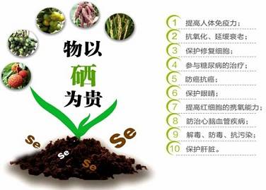 补硒的产品最好的是哪一种_补硒产品图片琳琅满目_最好的补硒产品