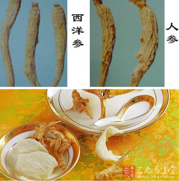 西洋参吃多久能有效果_吃海参多久能见到效果_参桂鹿茸丸能长期吃吗