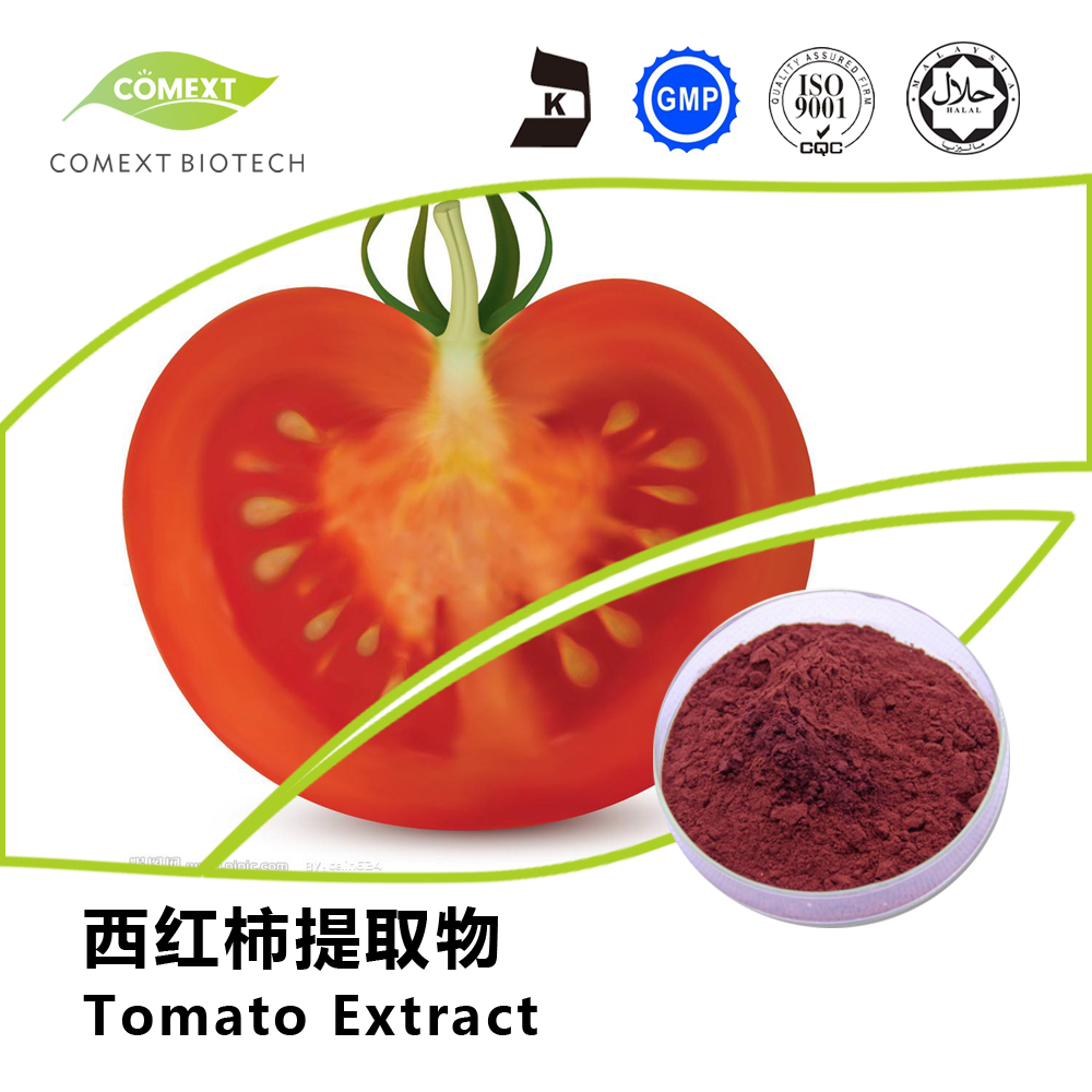 市场上全是转基因番茄_兰州诺赛基因市场前景怎么样_转植酸酶基因玉米