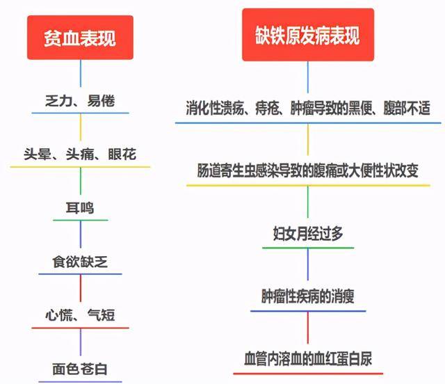 孕妇能吃体恒健牌铁之缘片吗_体恒健铁之缘片_孕妇能吃体恒健牌铁之缘片