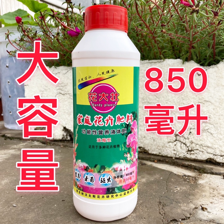 想开个液体加肥站_美女侮辱肥胖子加肥胖子耍流盲_液体加肥机
