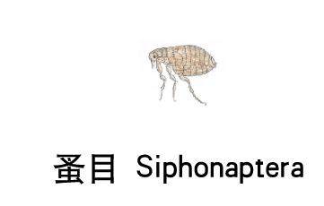 鸡蛋加什么吃壮阳持久_房行东方网联系电话_行房前吃什么持久