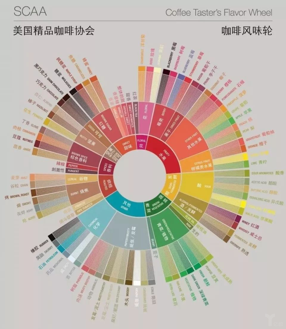 红药片能长期吃吗_点痣吃哪些东西能恢复得快_猪皮上有红点能吃吗