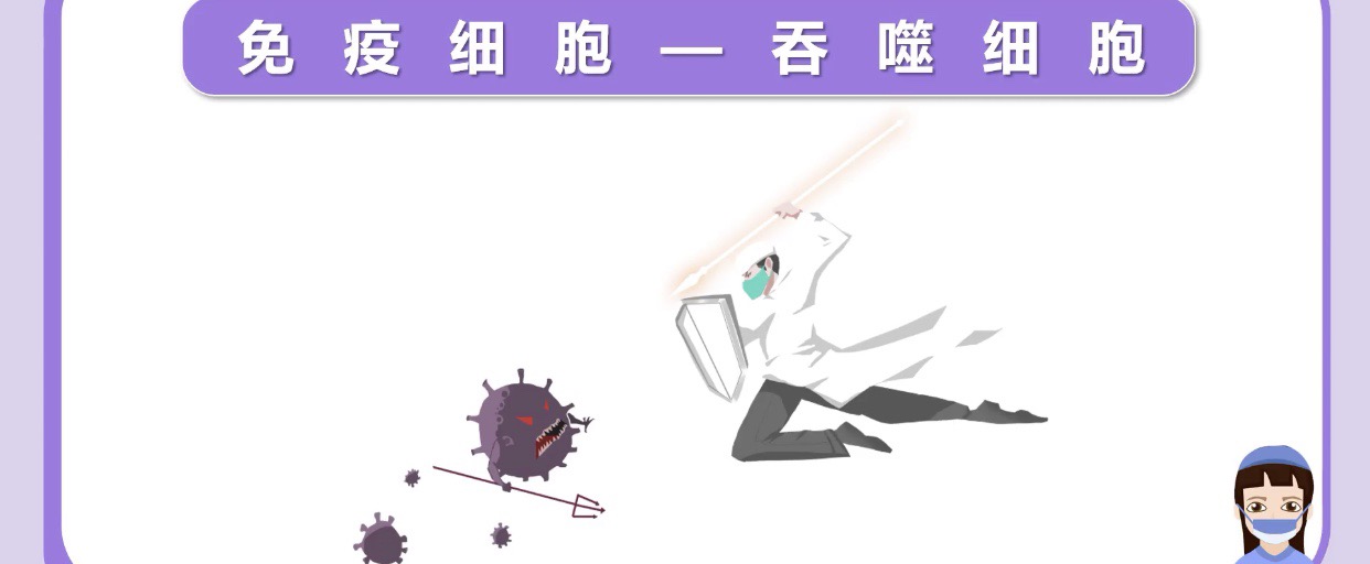 金感胶囊和什么一块吃_产妇吃金感胶囊回奶吗_金感胶囊一天吃几次