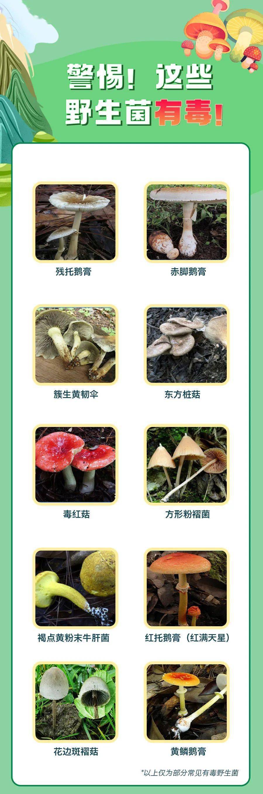 床上有东西咬人看不见_床笠是什么东西_不能在床上吃东西