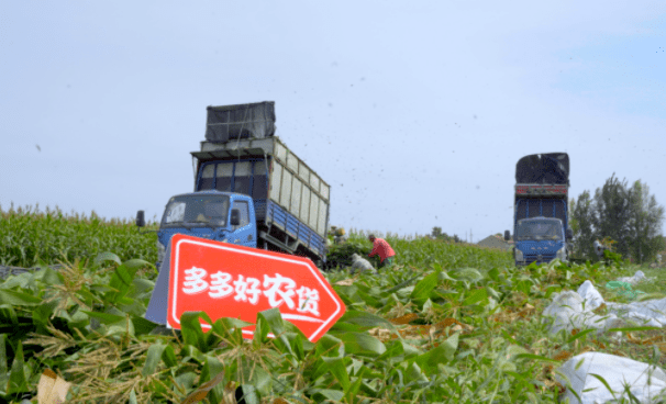 拼多多助力免单规则_拼多多助力账号异常_拼多多1元10刀助力平台