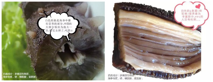 海参没泡发好影响营养吗_美国黑海参没有刺的营养价值好吗_淡干海参和即食海参哪个营养好