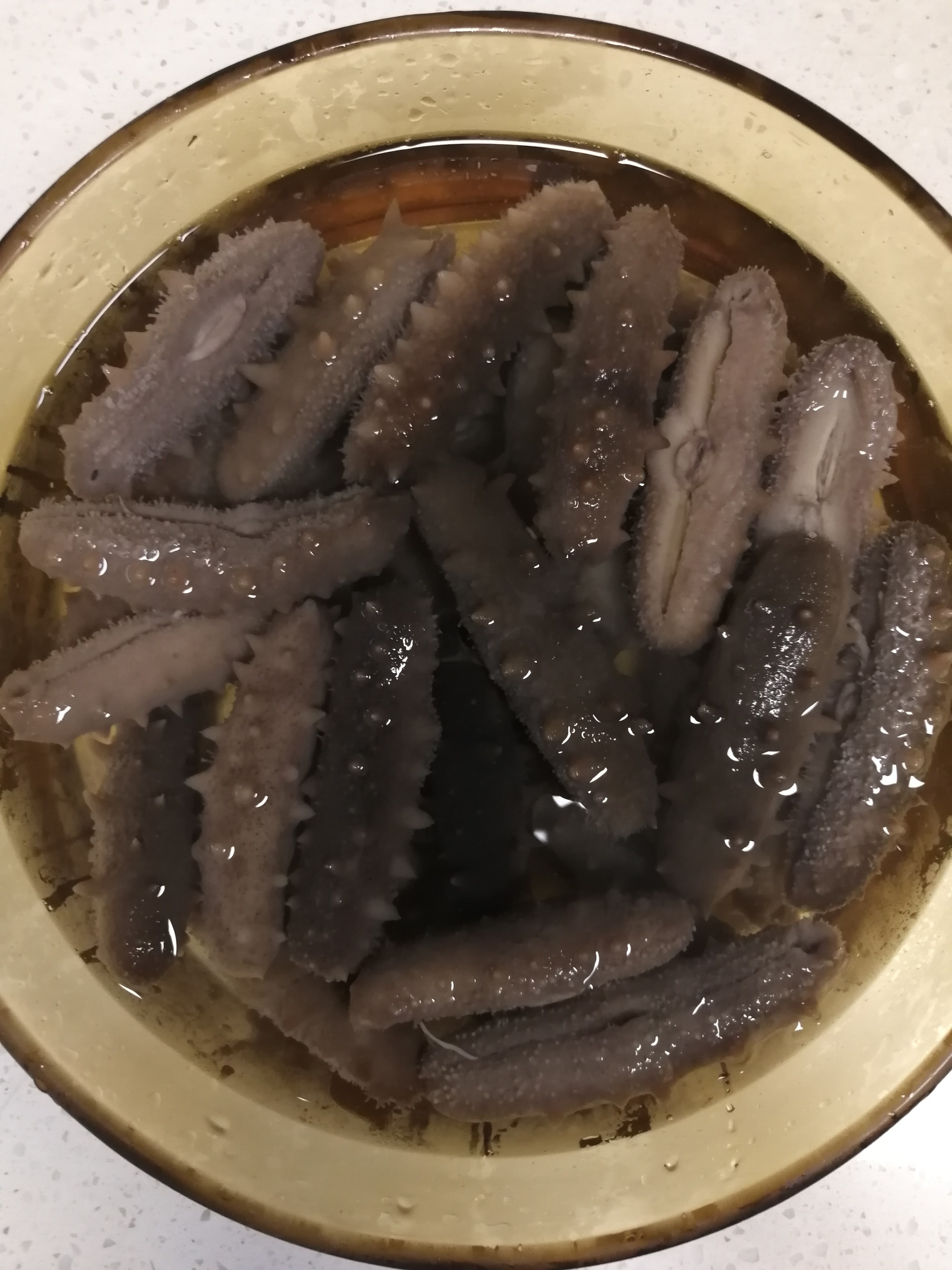唐山五瓷有收藏价值没_光参没有营养价值_即食海参和干参的营养