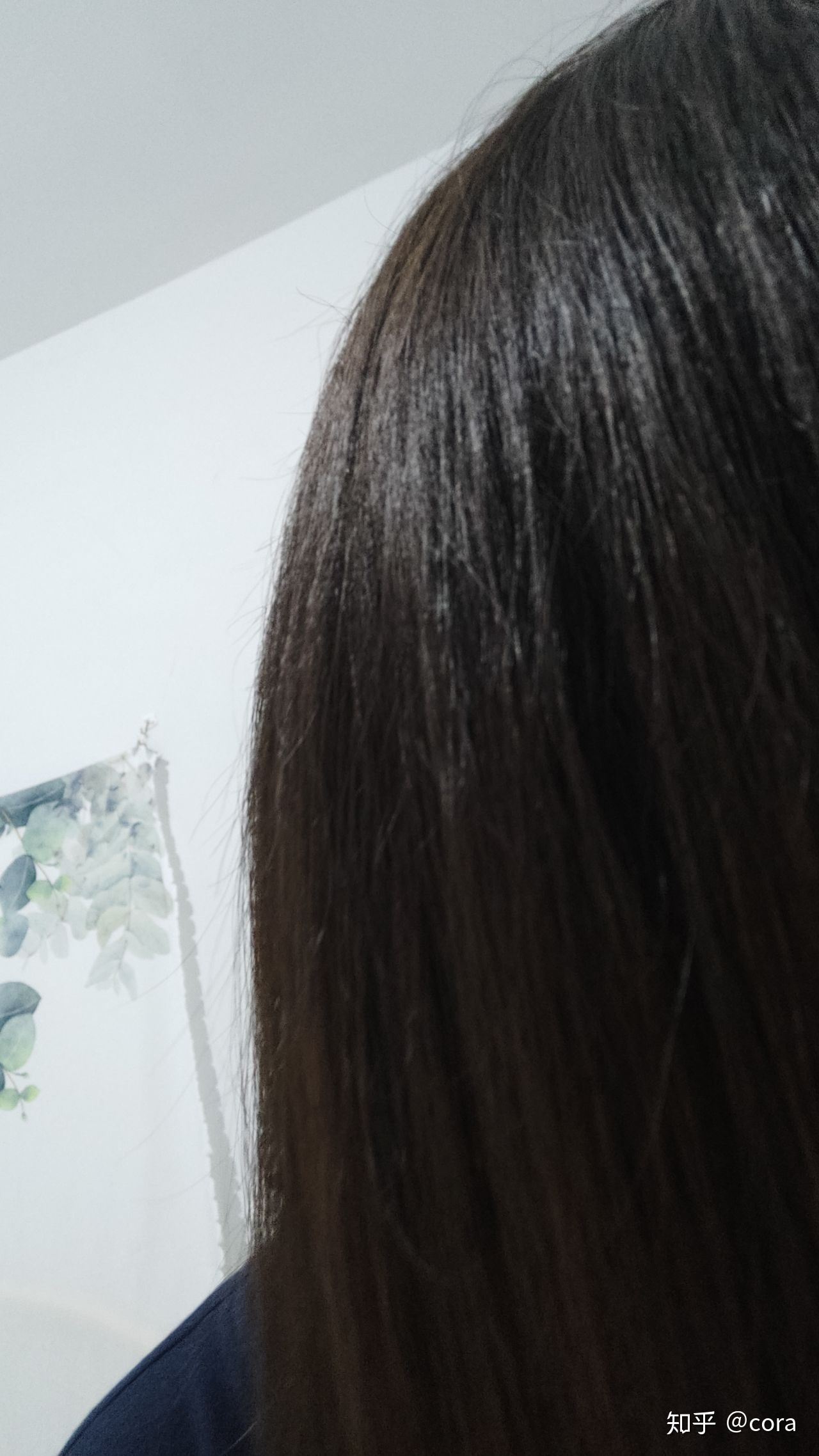 绒面沙发清洗小妙招_改善沙发发质的小妙招_改善脸部凹陷的小妙招