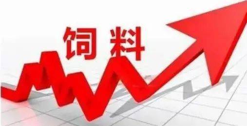 河南哺乳、乳猪教槽全价料那家好_乳猪教槽料排行榜_全国高档乳猪教槽料研发经验交流大会邀请函 2014