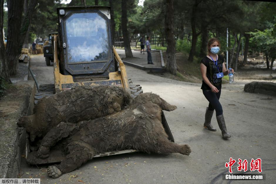 论文学和论德国的作者是_人类理解研究 pdf_人类理解论的作者