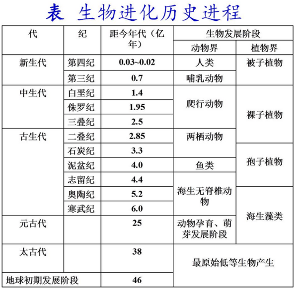 党的艰辛历程的概括_生物进化的历程实际上是生物与_生物进化的历程可以概括为