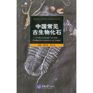 生物进化的历程可以概括为_党的历程概括_中美关系发展历程概括