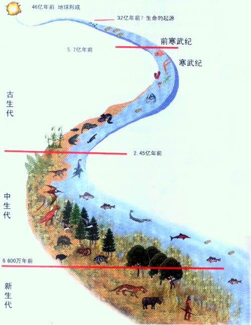 生物进化的历程可以概括为_生物进化的历程历程教案_生物进化的历程实际上是生物与