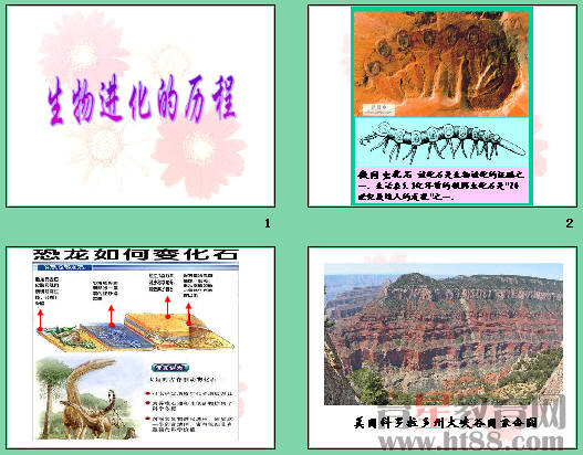 生物进化的历程实际上是生物与_生物进化的历程历程教案_生物进化的历程可以概括为