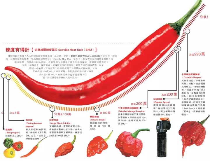 2015年世界500强企业有海尔没_世界上有没有辣的水果_水果世界之水果大逃亡
