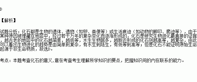 劳动裁决能够证明工作经验吗_哪些证据能够证明酵母是有生命的_傅科摆为什么能够证明地球在自转