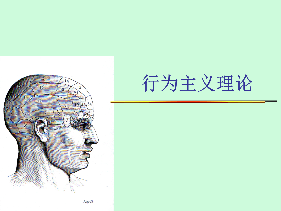 社会文化理论内容_公民社会理论和治理理论_中国特色社会法治理论内容