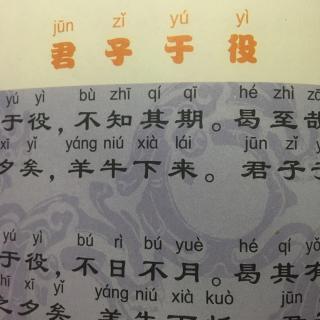 君子役物小人役于物翻译_君子役物小人役于物什么意思_《君子于役》所表达的思想感情