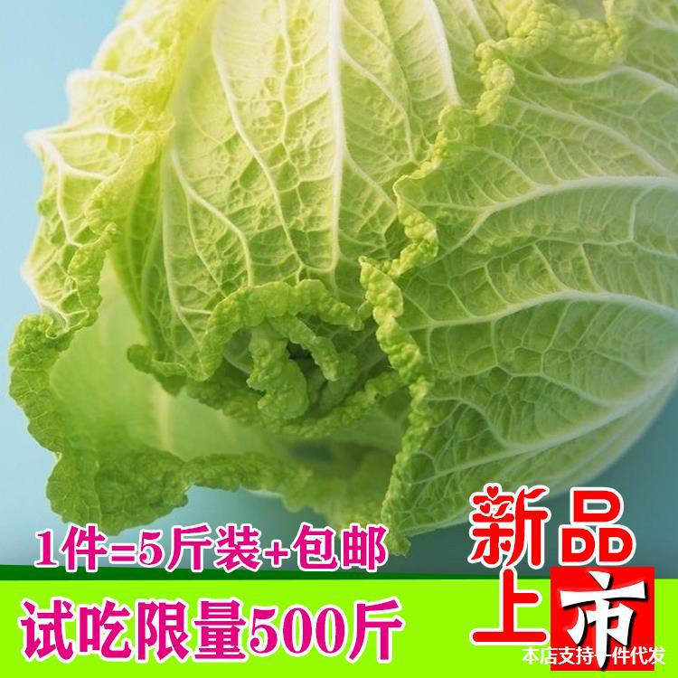 科颜氏小黄瓜水怎么看生产日期_科颜氏黄瓜水免税店_科颜氏黄瓜水怎么样