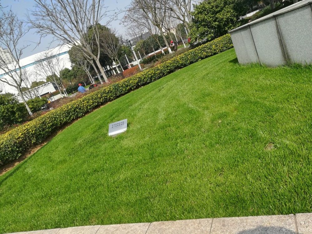 极限思想有趣的题_思想政治理论全程预测100题_极限思想是什么