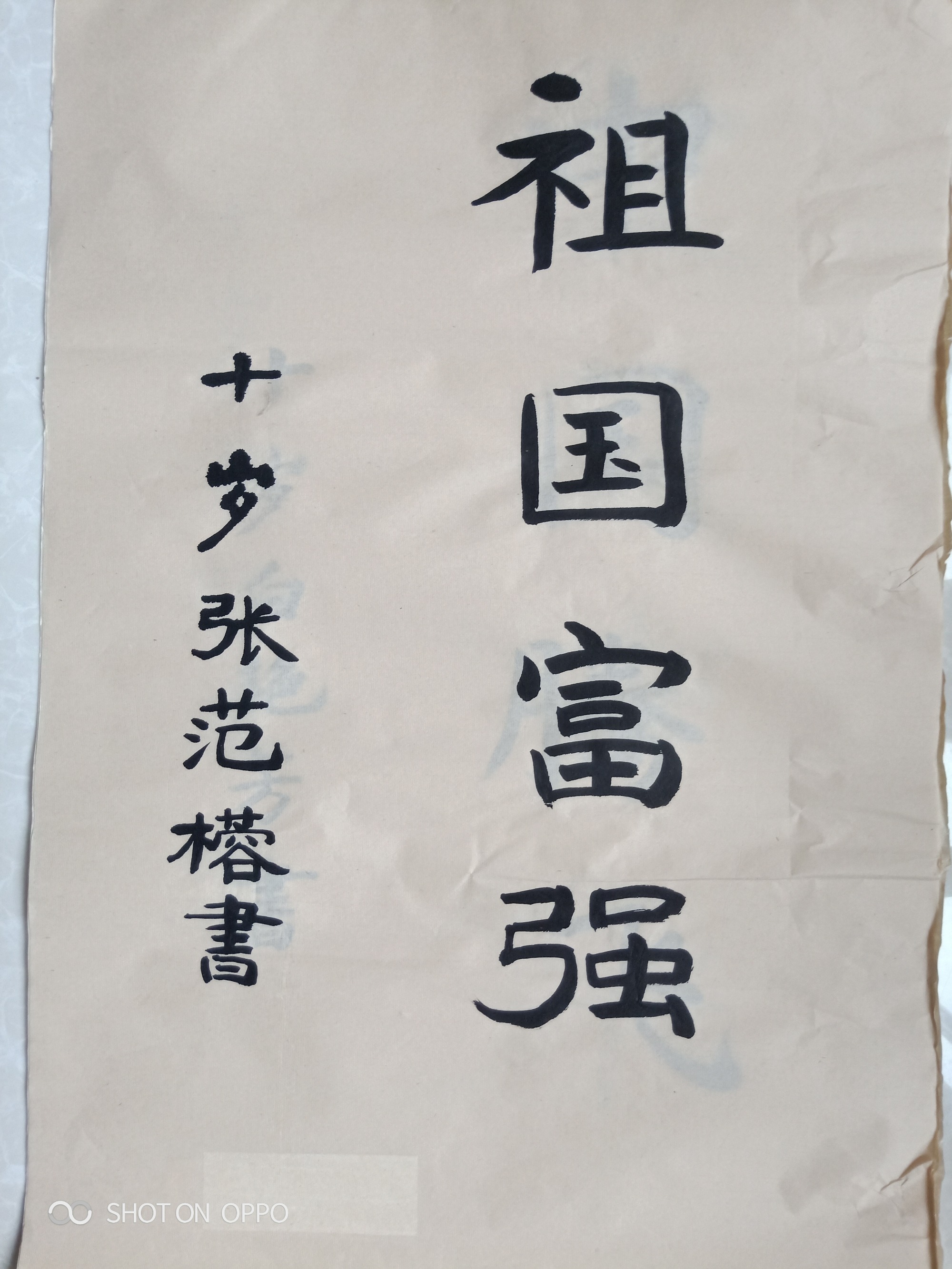 社会主义价值观学生画_画家小孟林牡丹画价值_教育观,学生观,教师观